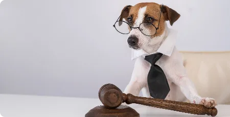 Avoid Legal Complications